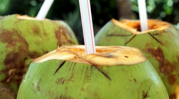 coconet advantage