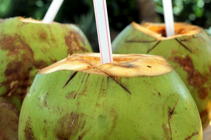 coconet advantage